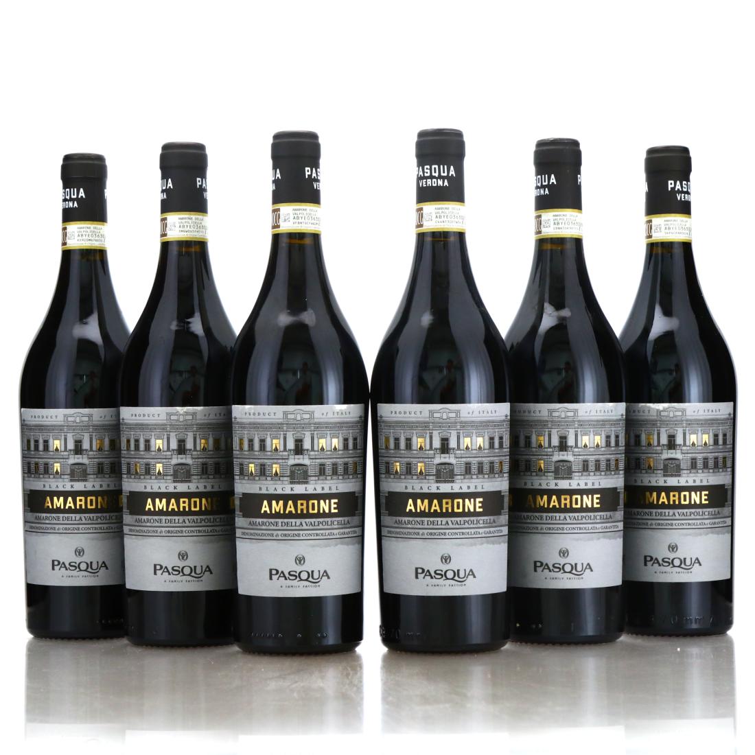 Image for Pasqua Black Label 2017 Amarone Della