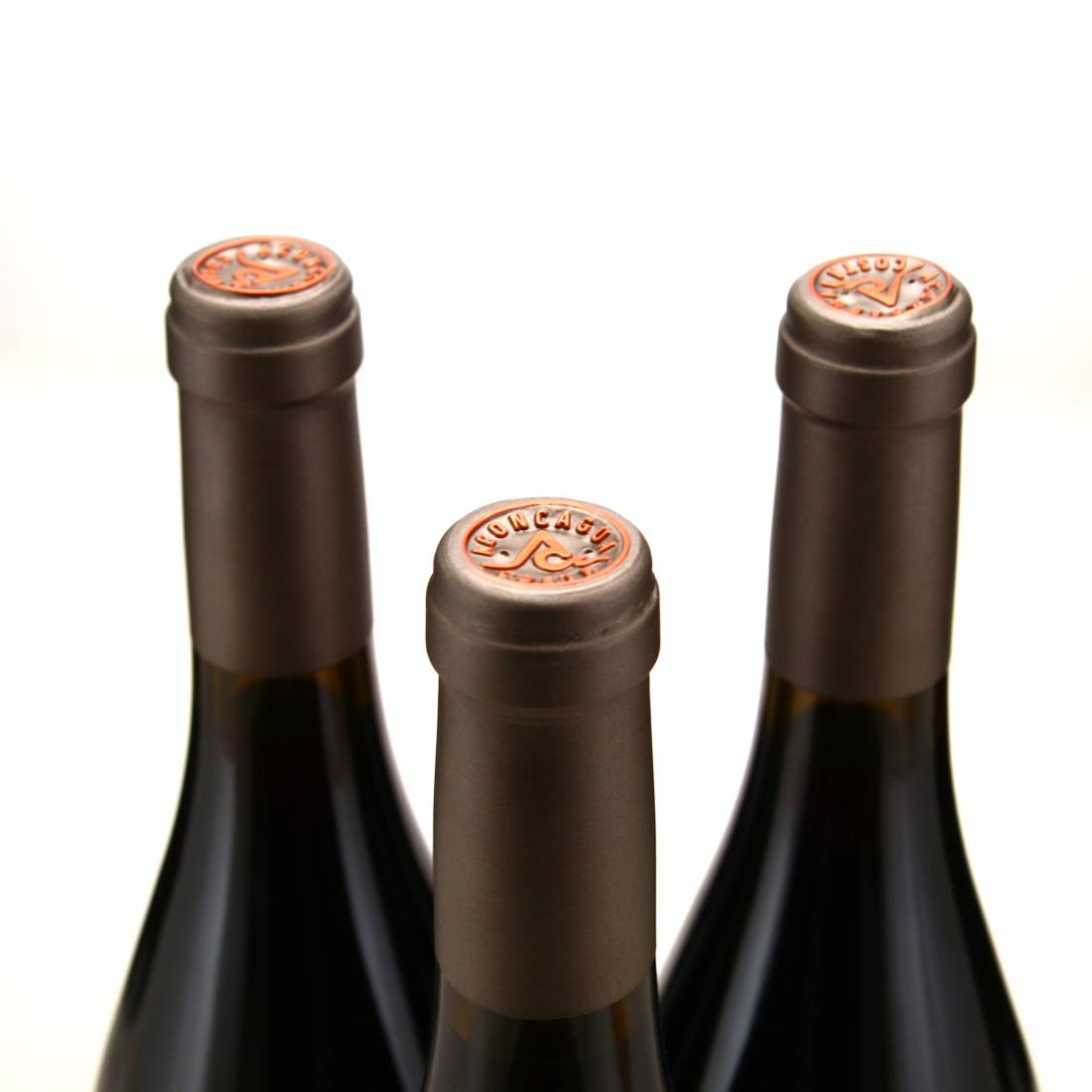 Image for Errazuriz Las Pizarras Pinot Noir 2017 Aconcagua