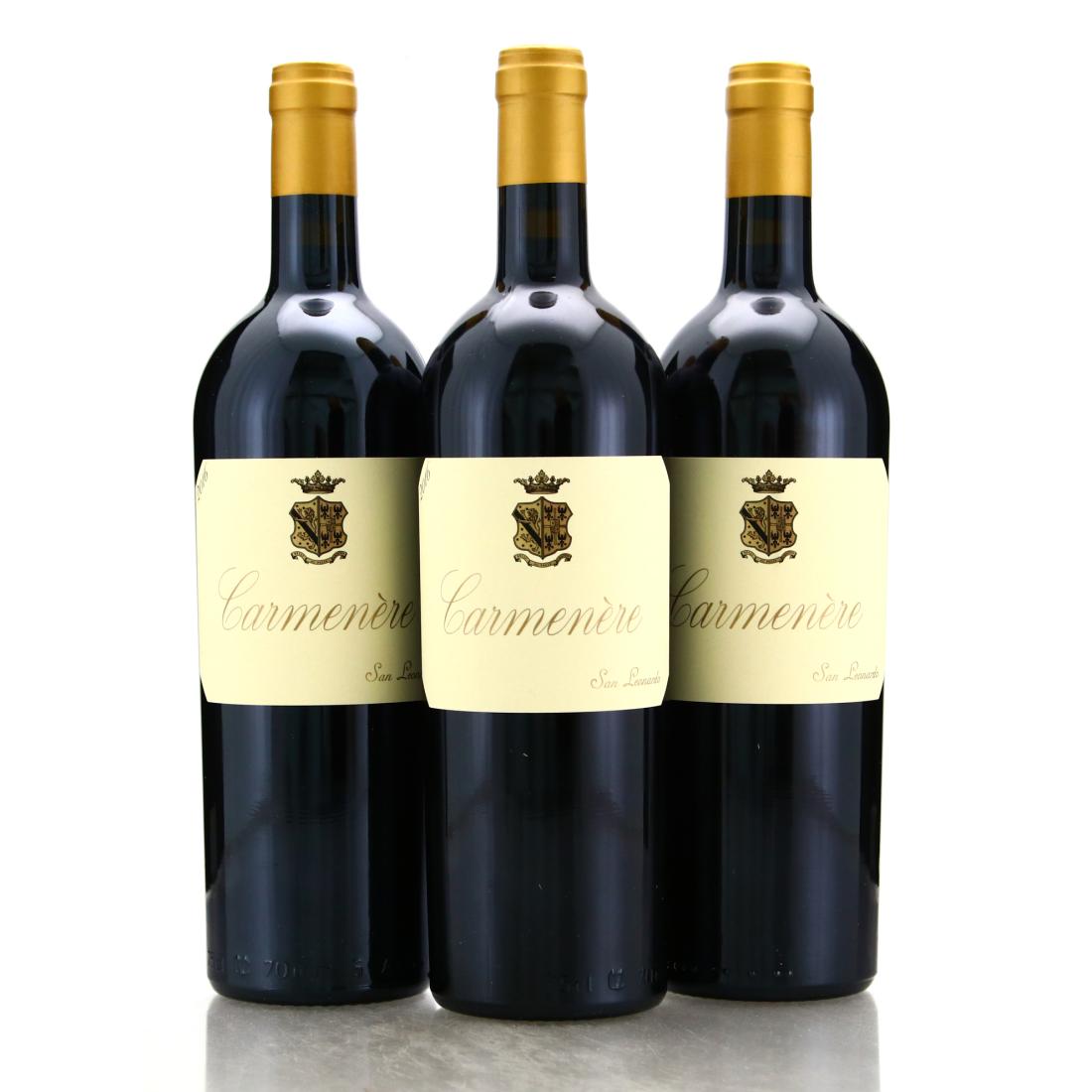 Image for San Leonardo Carmenere 2016 Dolomiti