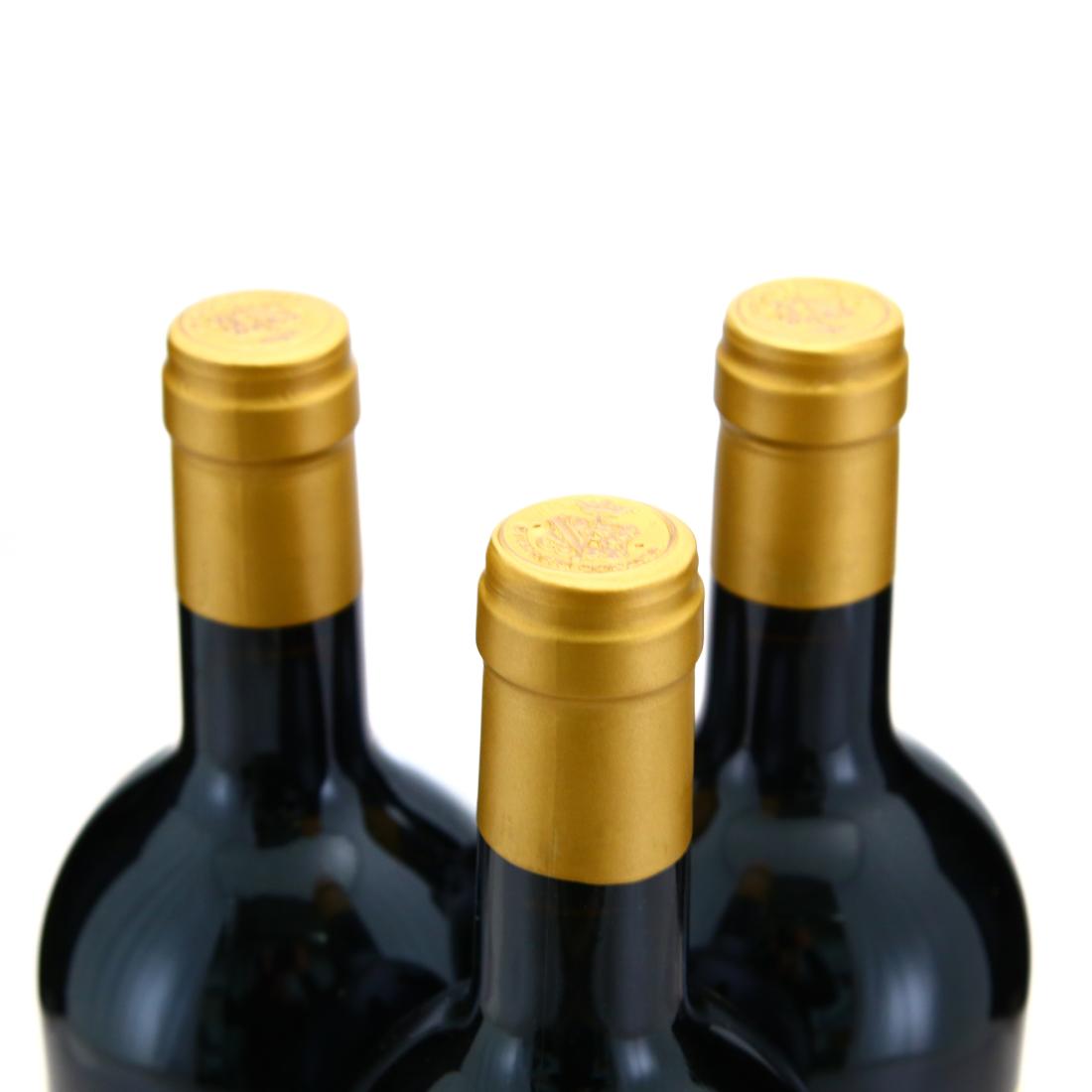 Image for San Leonardo Carmenere 2016 Dolomiti