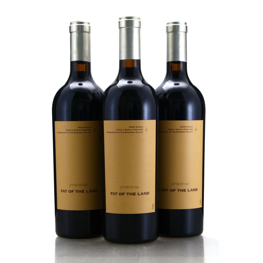 Image for First Drop Wines Fat Of The Land Ebenezer Shiraz 2009 Barossa Valley