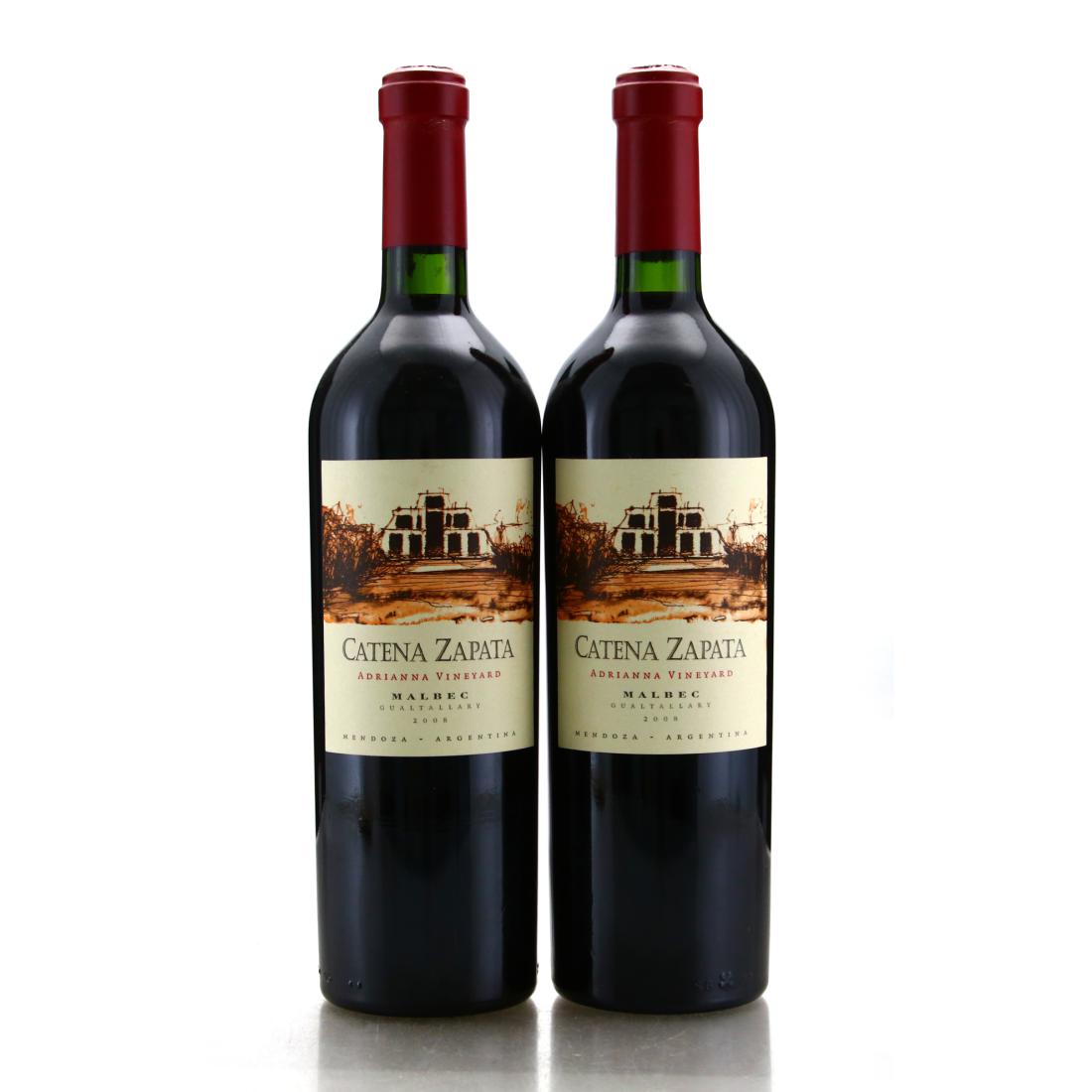 Image for Catena Zapata Adrianna Vineyard Malbec 2008 Mendoza