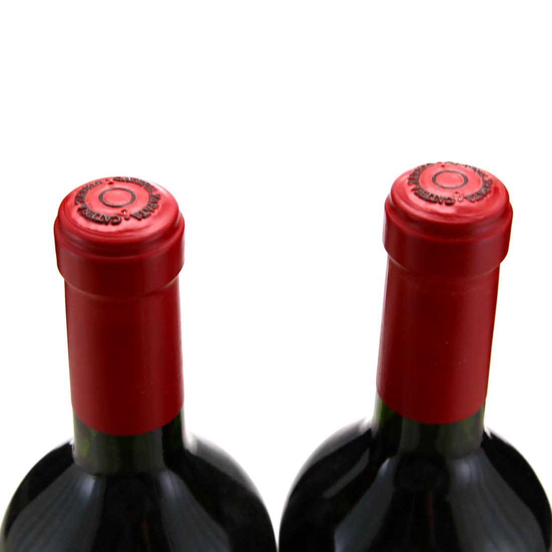 Image for Catena Zapata Adrianna Vineyard Malbec 2008 Mendoza