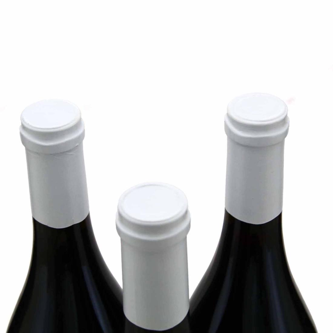 Image for Domaine Bizot 2010 x 3