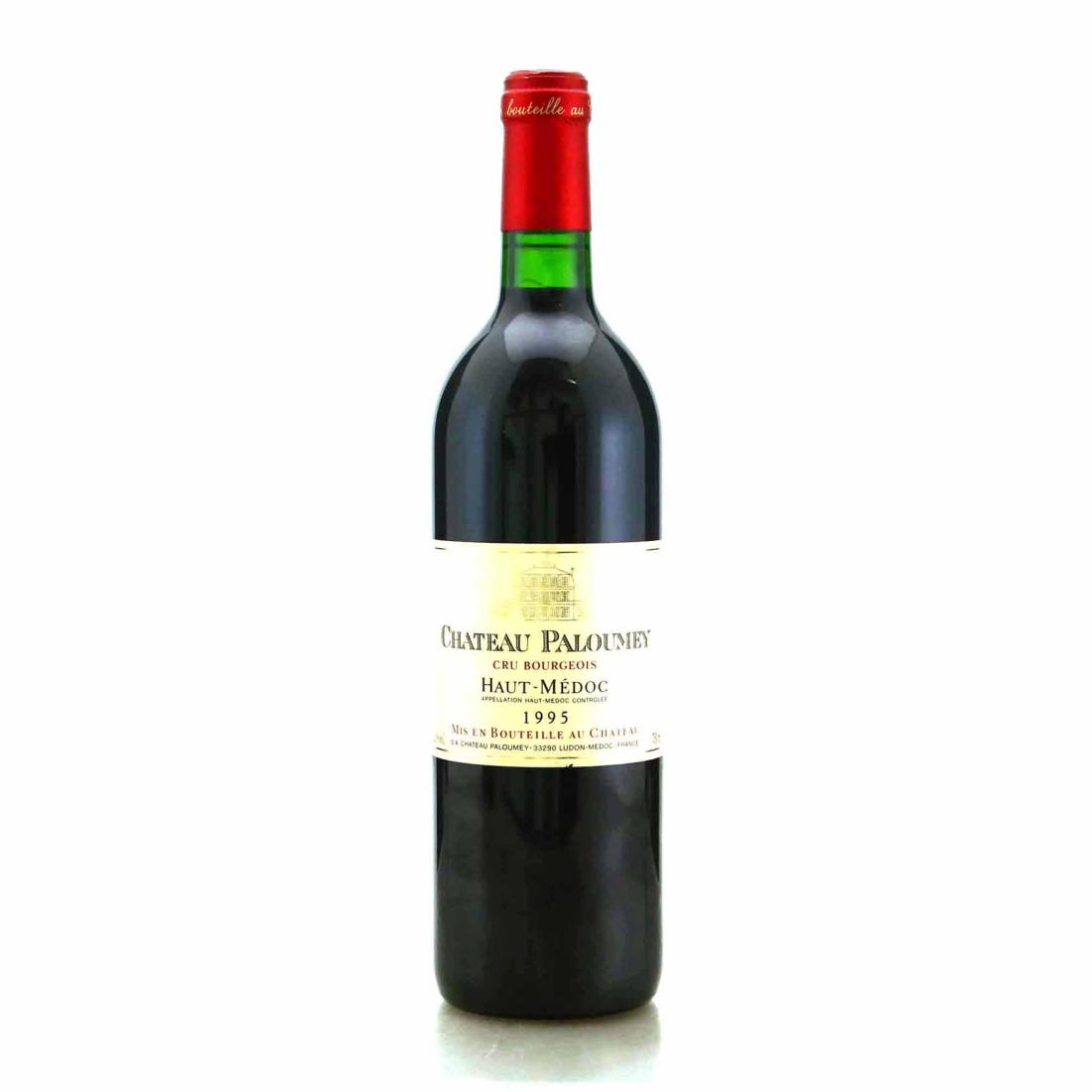 Image for Ch. Paloumey 1995 Haut-Medoc