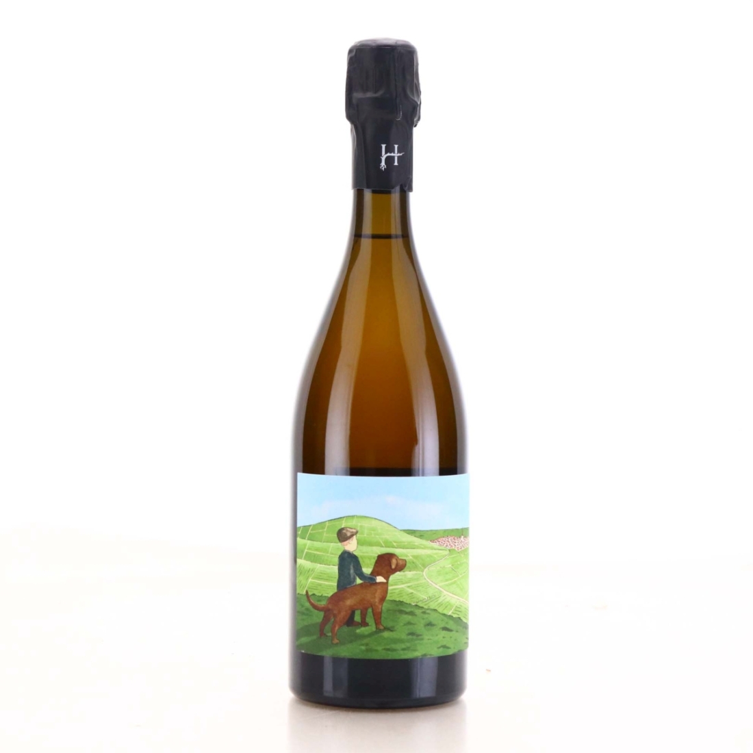 Romain Henin 'Le Gamin du Terroir' Brut Nature NV Champagne / 2023