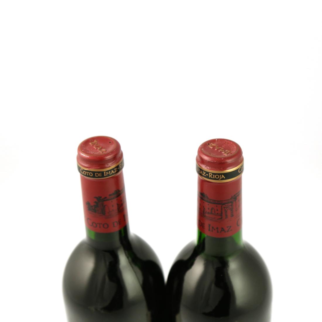 Image for Coto de Imaz 1994