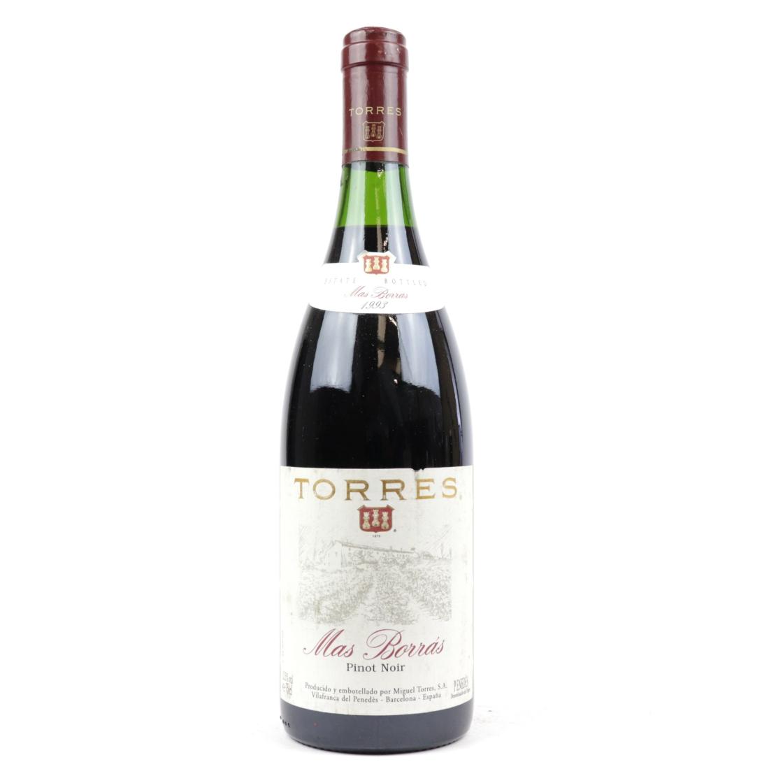 Image for Torres Mas Borras Pinot Noir 1993 Penedes