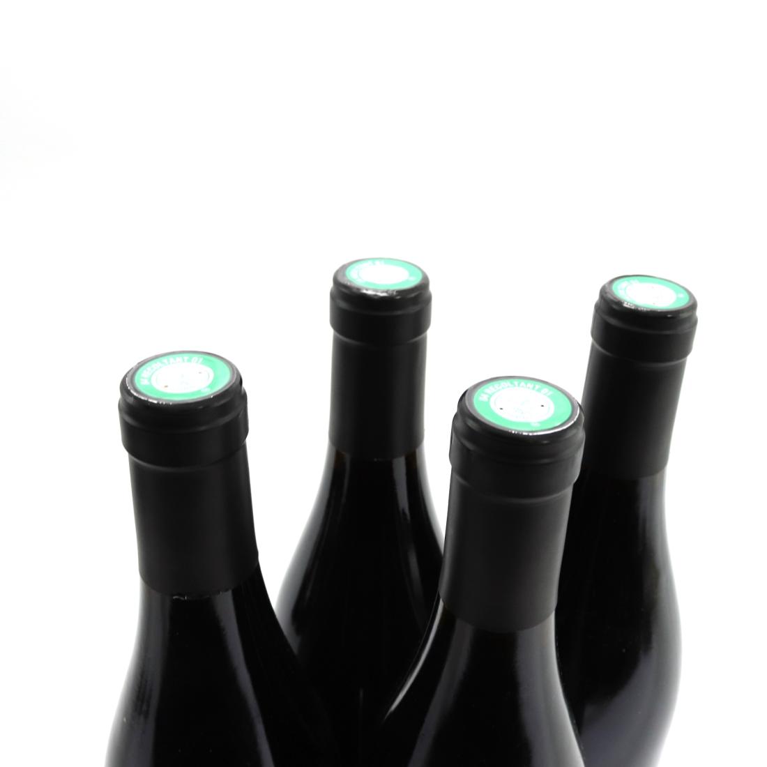 Image for Dom. Martin 2010 Rasteau