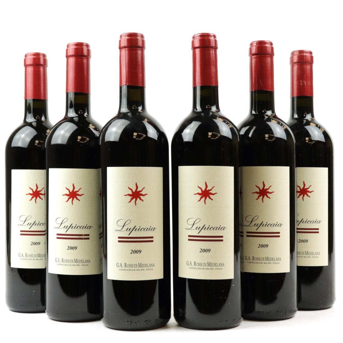 Image for Castello del Terriccio Lupicaia 2009 Tuscany 6x75cl / OWC