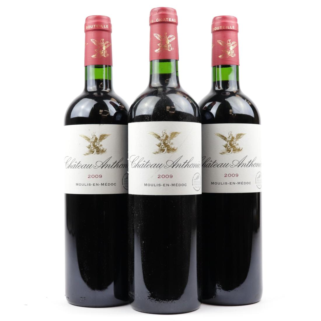 Image for Ch. Anthonic 2009 Moulis-En-Medoc