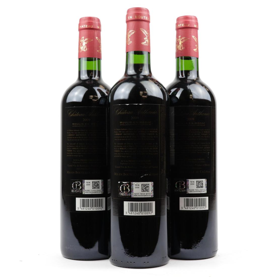 Image for Ch. Anthonic 2009 Moulis-En-Medoc