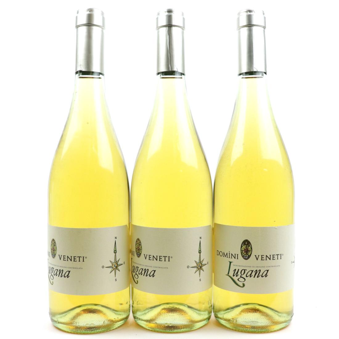 Image for Domini Veneti 2014 Lugana