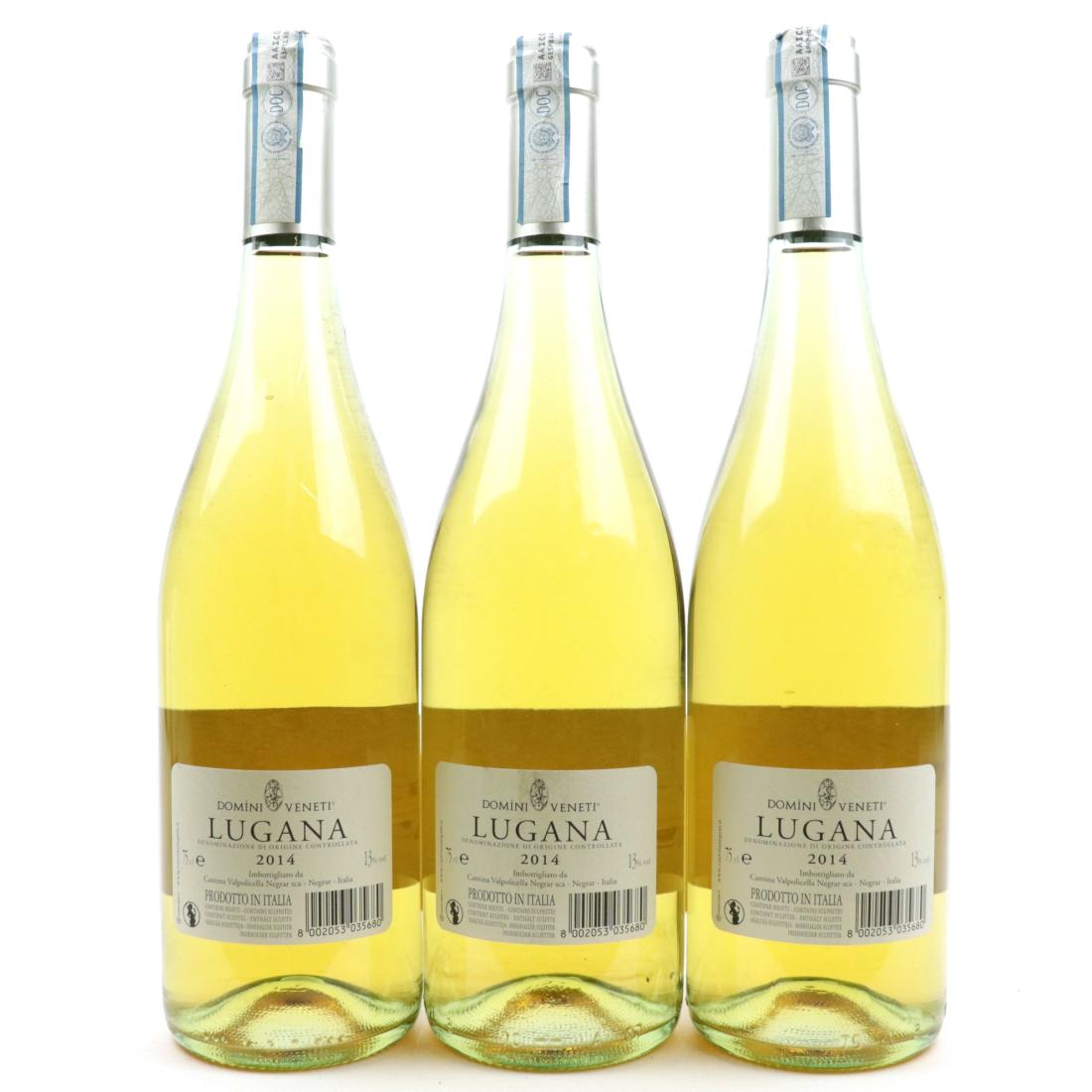 Image for Domini Veneti 2014 Lugana