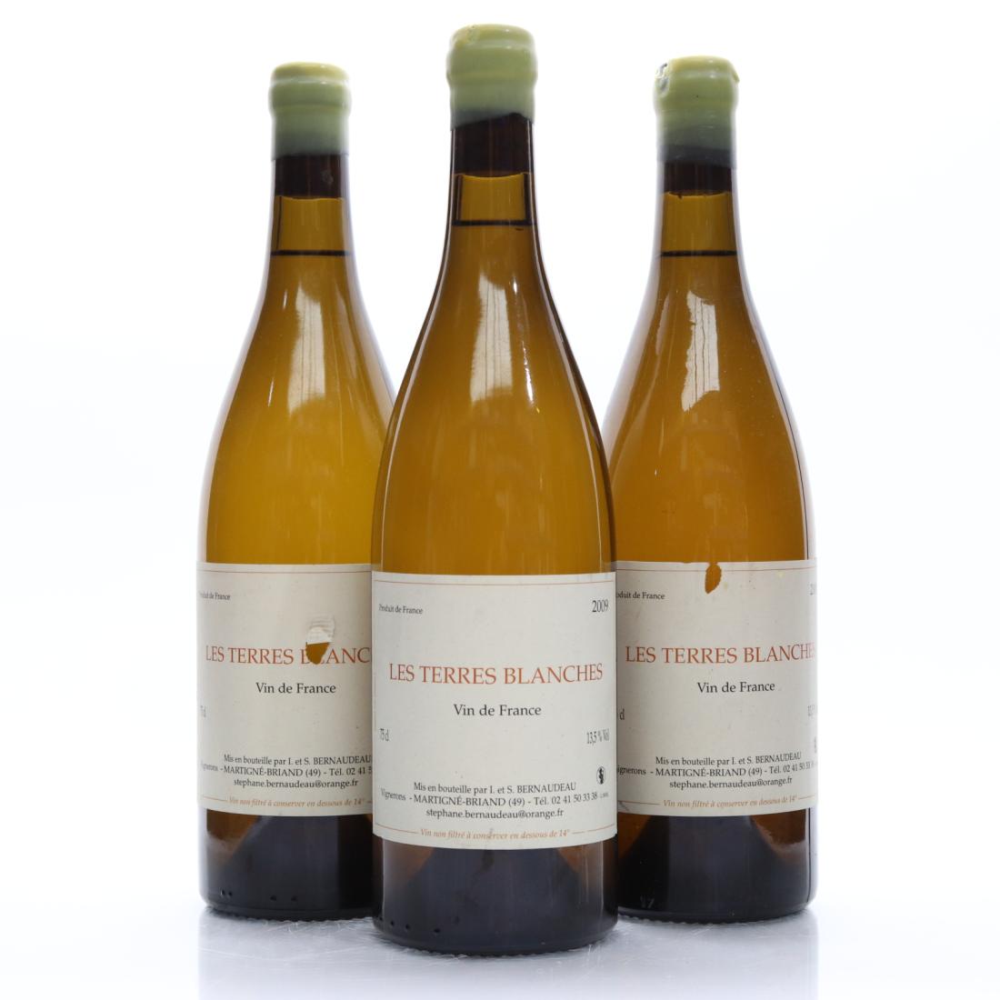Image for Bernaudeau Les Terres Blanches 2009 Vin De France
