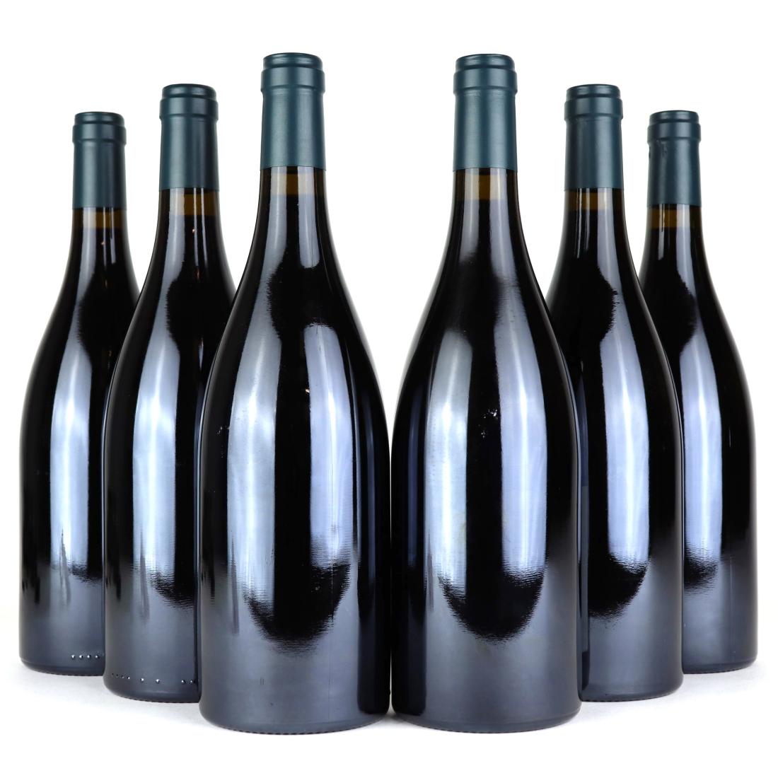Image for Dom. M.&P. Rion Clos Des Argillieres 2008 Nuits-Saint-Georges 1er-Cru