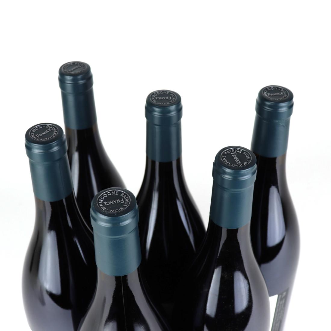 Image for Dom. M.&P. Rion Clos Des Argillieres 2008 Nuits-Saint-Georges 1er-Cru