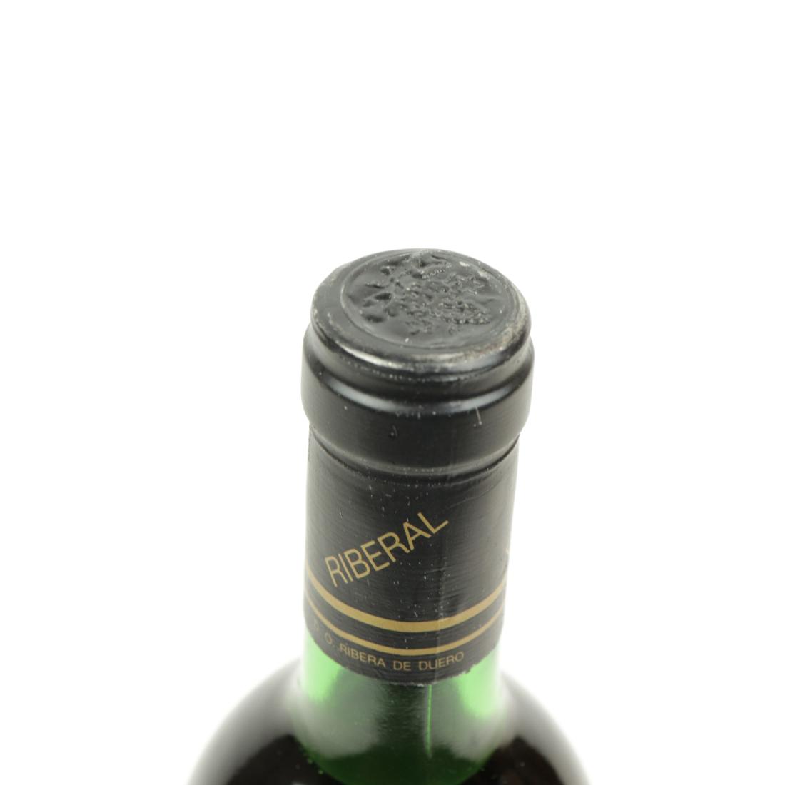 Image for Riberal 1988