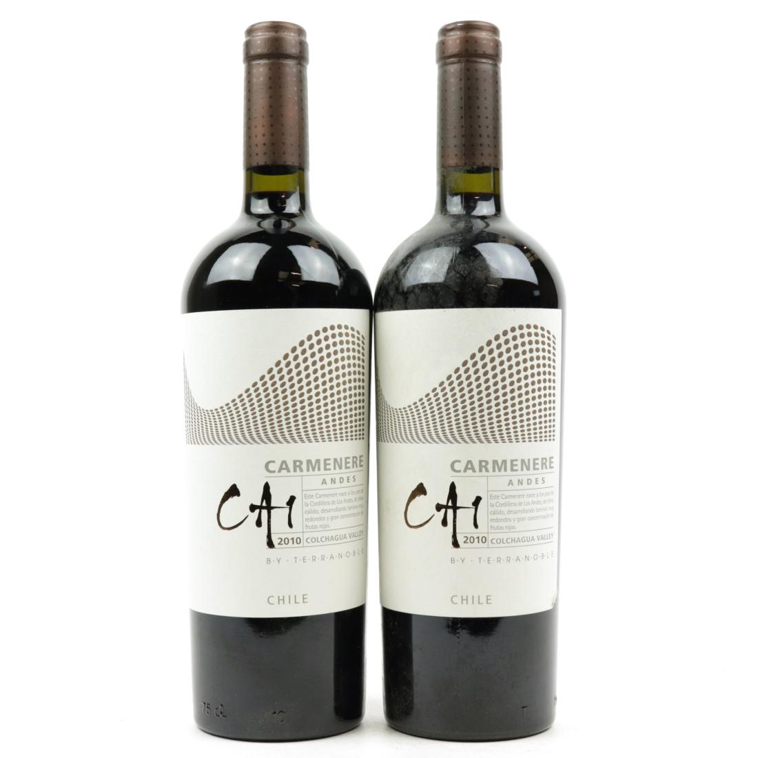 Image for Terranoble CA1 Carmenere 2010 Colchagua