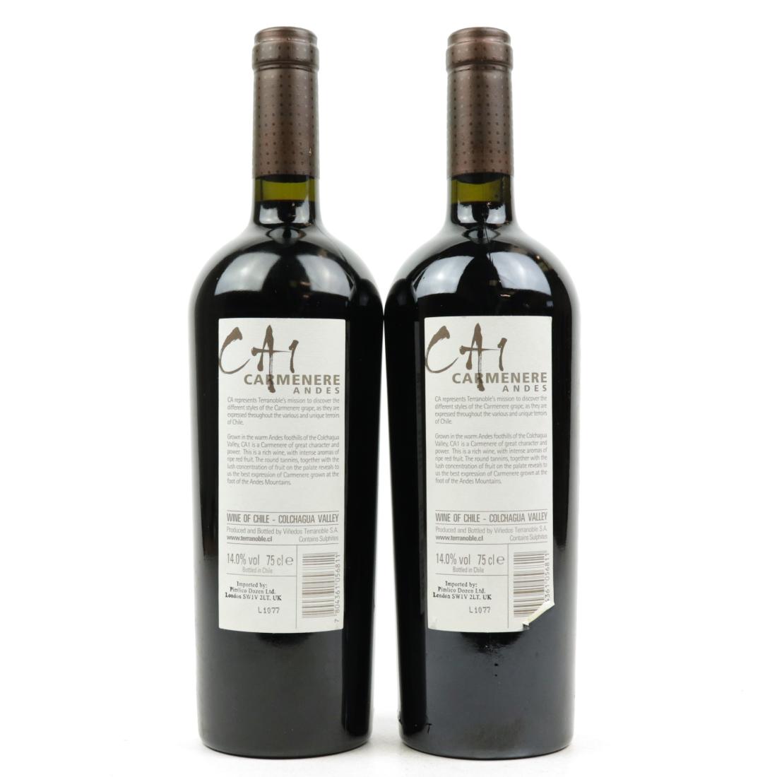 Image for Terranoble CA1 Carmenere 2010 Colchagua
