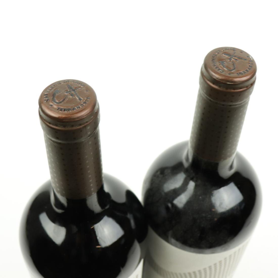 Image for Terranoble CA1 Carmenere 2010 Colchagua