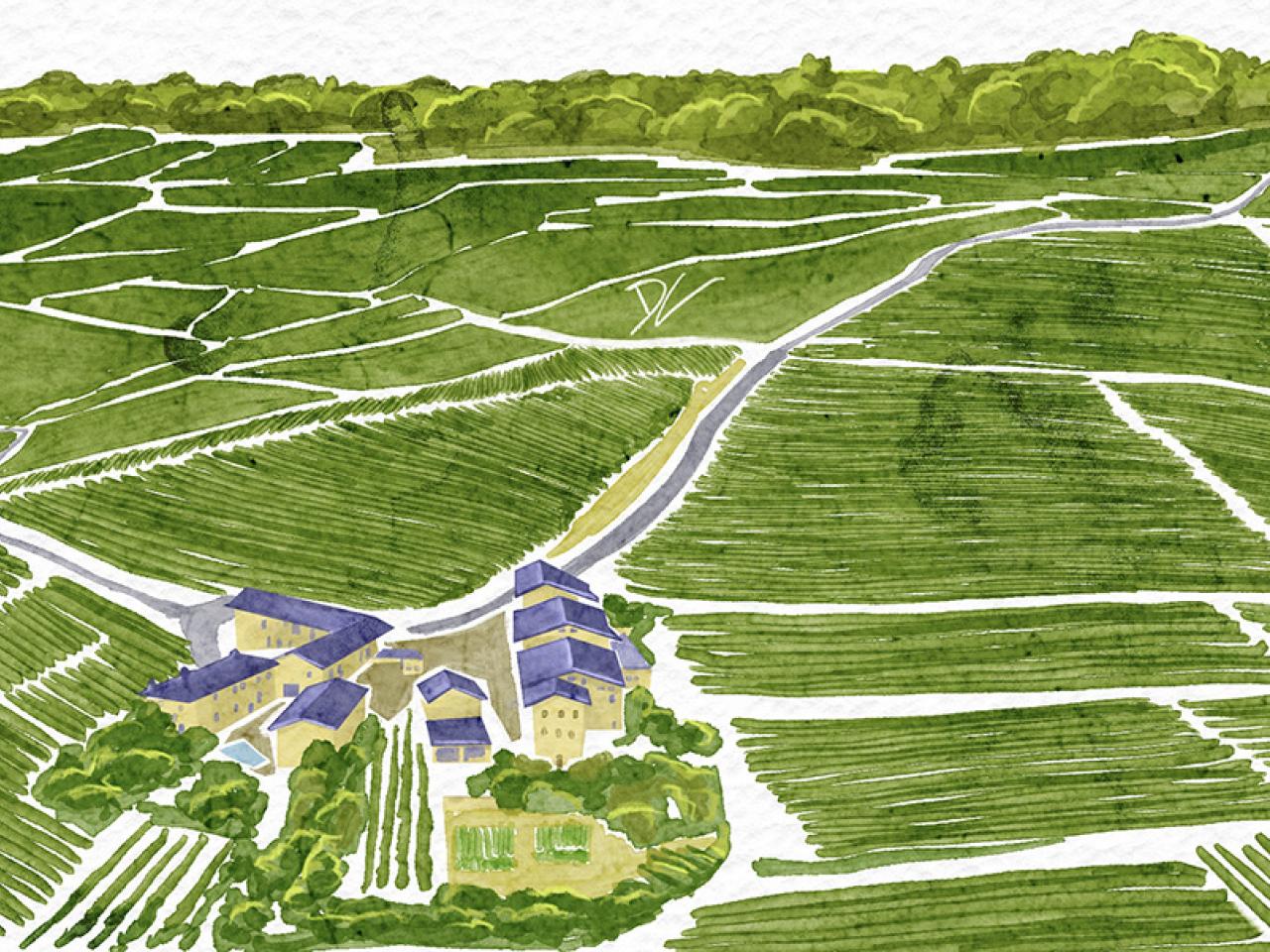 Illustration of Gaja winery